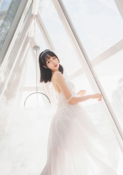 91猫先生