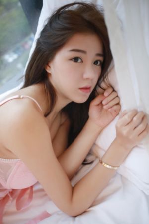 白宝山26集全集免费观看