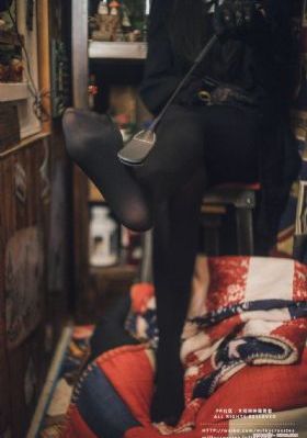 啄木鸟在线