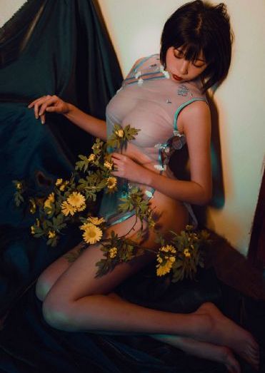 电视剧征服